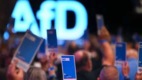 Der Zulauf zur AfD ist nicht einmal gebremst