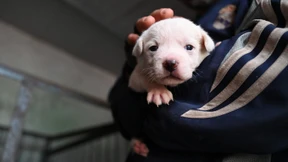 „Finger weg bei allem, was zu groß, zu klein, zu kurz oder zu lang ist“