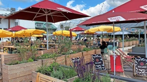 Kino, Sauna, Kräutergarten