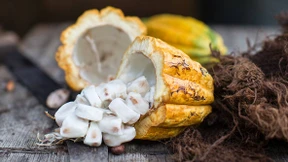 Schokolade wird teurer