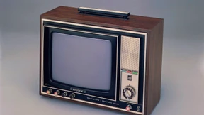 Kiesinger und die antidemokratischen Kräfte