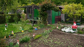 Pächter muss Kleingarten selbst bewirtschaften