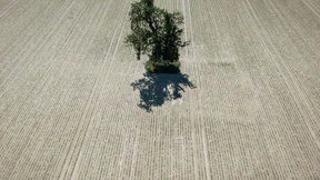 Klimaneutralität 2045 wird verfehlt