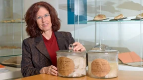 Das Gehirn von Gauß lag im falschen Glas