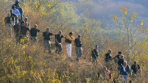 Als wäre es ein Fluch 