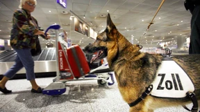 Streit vor den Sommerferien