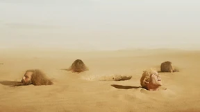 Eine Wundertüte im Wald