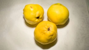 Von Äpfeln und Birnen