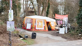 Wenig Protest gegen Rodung am Osthang der Mathildenhöhe