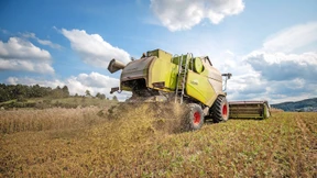 Streit um Äcker, Ställe und Tiere