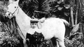 Wie der Leopard zum Papiertiger wird