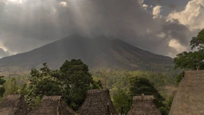 Drei Büffel für eine Braut