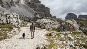 Wie Südtirol gegen unliebsame Häufchen kämpft