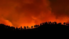 Wieder Waldbrand auf Gran Canaria ausgebrochen