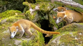 Zuchterfolge und Besucherrekord