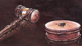 Wehret den Anfängen!