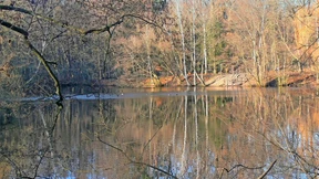 Frankfurter Stadtwaldhaus als Bildungsstätte und Naturparadies