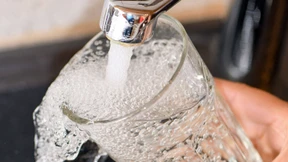 Bewusstsein für Lebensmittel Nr. 1 schaffen