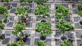 Pianist darf nicht auf der Zeil spielen