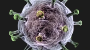 Mit schlechten Absichten und gutem Karma