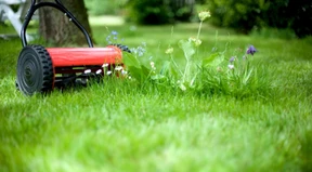 Mähen mit Rücksicht auf die Artenvielfalt