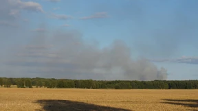 Löscharbeiten in Wäldern bei Berlin dauern an