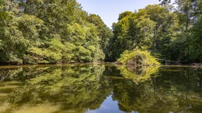 Frankfurts kostbarster Schatz in Gefahr