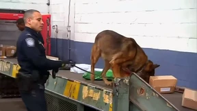 Wenn Drogen per Post kommen