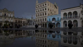 Wolgang Amadeus lebt im Hinterhof