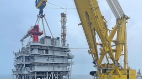 Windpark schlägt Haselmaus