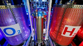 Noch grün hinter den Ohren