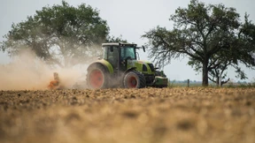 Erhöhte Insolvenzgefahr bei Landwirten