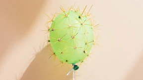 „Stress nicht negativ sehen“