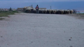 Europäisches Las Vegas wird bei Madrid errichtet