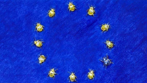 Ein großes Europa? Ein starkes Europa!