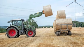 Trockenheit gefährdet nicht nur die Maisernte