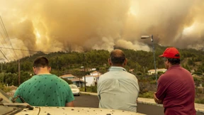 45 Quadratkilometer auf La Palma abgebrannt