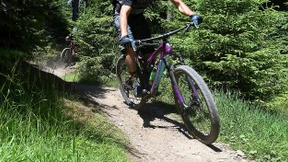 Mit Gittern gegen wilde Radler