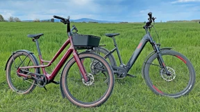 Ein Hoch über dem Tief