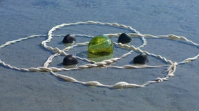 Winzig und doch so komplex 