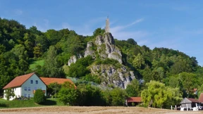 Kinder grün und blau zur Schule schicken