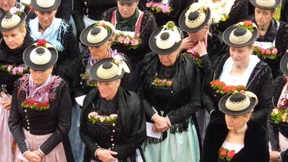 Nelken ins Mieder, Glanzspray  in die Mähne