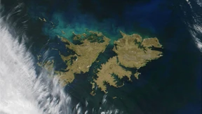 Erdöl auf die alten Wunden