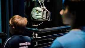 Wenn Raptoren am Gitter rütteln