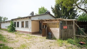 Runde drei für Reiterhof-Mord