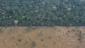 Jetzt ist die Wirtschaft am Zug