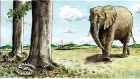 Ohne Ansehen der Person