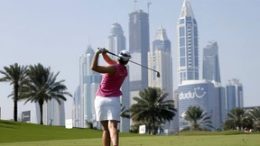 Nur eine Palme im Weg