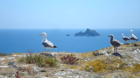 Verloren im Meer und doch gerettet