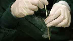 Wussten die Börsen schon früher von den Gen-Babys?